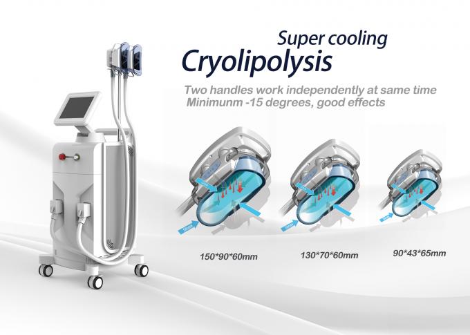 Omtrek van de het Vermageringsdieetmachine van de Cryolipolysis de Vette Vorst en Cellulite-Vermindering