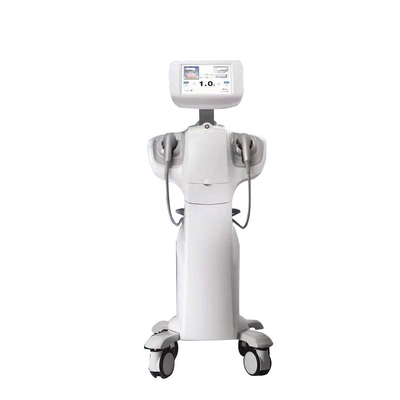 Hoog Intensiteit Gerichte Ultrasone Hifu Vaginale Zorg Verjonging Vagina's Verstrakkingsmachine