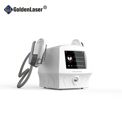 Draagbare 2 in Ultrasoon de Machine Esthetisch Lichaam die van het 1 Gewichtsverlies Vermageringsdieetmachine vormen
