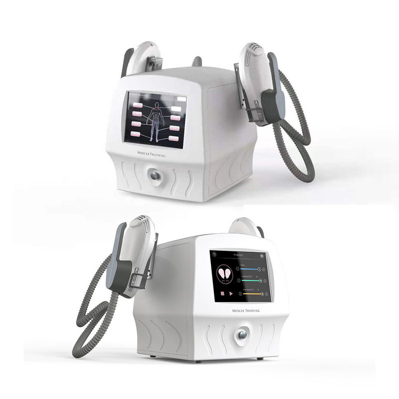 Draagbare 2 in Ultrasoon de Machine Esthetisch Lichaam die van het 1 Gewichtsverlies Vermageringsdieetmachine vormen